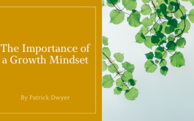 The Importance of a Growth Mindset