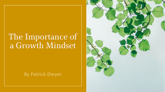 The Importance Of A Growth Mindset Patrick Dwyer Merrill Lynch
